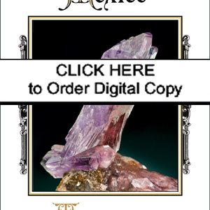 CLICK HERE TO ORDER DIGITAL COPY of Vol 49 no. 1.2 - $30