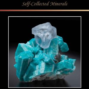 Eureka!  (supplement to May-June 2022, Vol 53-3)