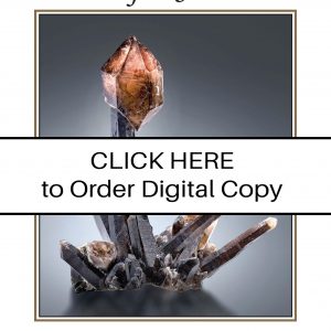 CLICK HERE TO ORDER DIGITAL COPY of Vol 53 No. 2.2 - $30