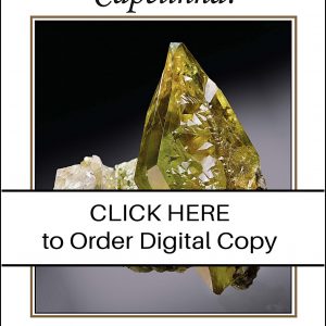 CLICK HERE TO ORDER DIGITAL COPY of Vol 53 No. 3.02 - $30