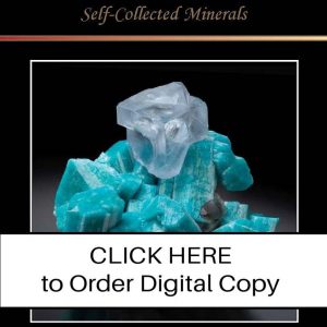 CLICK HERE TO ORDER DIGITAL COPY of Vol 53 No. 3.12 - $40