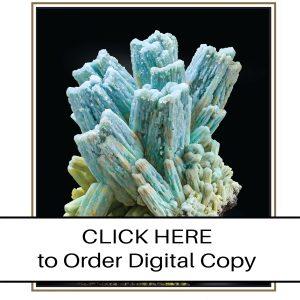 CLICK HERE TO ORDER DIGITAL COPY of Vol 53 No. 6.02 - $30