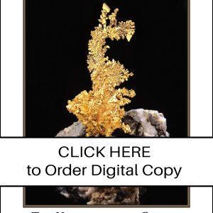 CLICK HERE TO ORDER DIGITAL COPY of Vol 54 No. 4.2 - $30