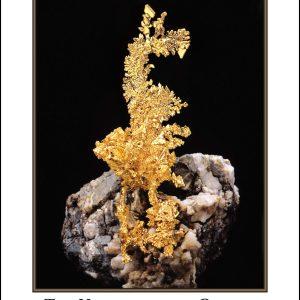 Mineralogical Record Vol. 54, No. 4, 2023