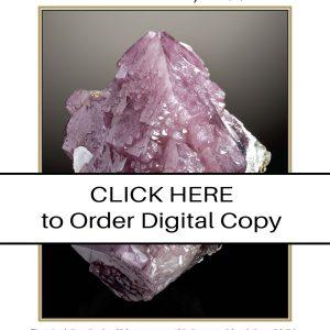 CLICK HERE TO ORDER DIGITAL COPY of Vol 43 No. 5.2 - $20