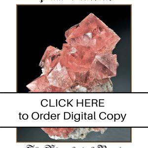 CLICK HERE TO ORDER DIGITAL COPY of Vol 54 No. 5.2 - $30