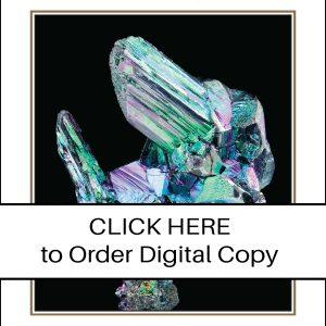 CLICK HERE TO ORDER DIGITAL COPY of Vol 52 no 1.2 - $25