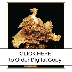 CLICK HERE TO ORDER DIGITAL COPY of Vol 52 no 2.2 - $25