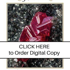 digital2019vol50n1janfebalmadenCOVER