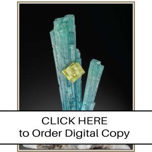 CLICK HERE TO ORDER DIGITAL COPY of Vol 50 no 5.02 - $25