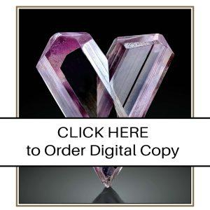 CLICK HERE TO ORDER DIGITAL COPY of Vol 51 no 4.2 - $25