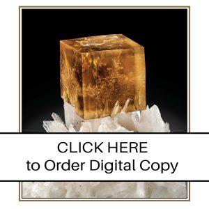 CLICK HERE TO ORDER DIGITAL COPY of Vol 51 no 5.2 - $25