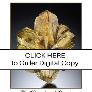 CLICK HERE TO ORDER DIGITAL COPY of Vol 54 No. 6.2 - $30