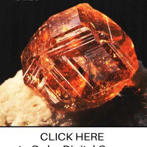 CLICK HERE TO ORDER DIGITAL COPY of Vol 13 No. 5.2 - $9