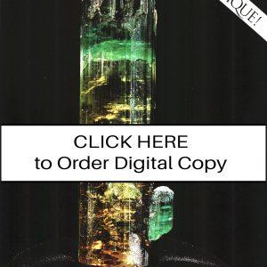 CLICK HERE TO ORDER DIGITAL COPY of Vol 31 No. 6.2 - $12