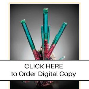 CLICK HERE TO ORDER DIGITAL COPY of Vol 46 no 1.2 - $35