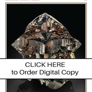 CLICK HERE TO ORDER DIGITAL COPY of Vol 49 no 3.2- $20