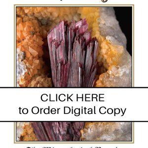 CLICK HERE TO ORDER DIGITAL COPY of Vol 49 no 5.2- $20