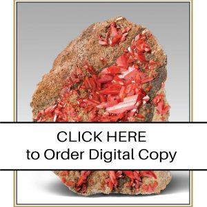 CLICK HERE TO ORDER DIGITAL COPY of Vol 47 no 4.02 - $15