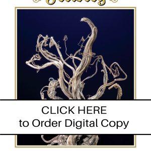 CLICK HERE TO ORDER DIGITAL COPY of Vol 46 no 3.2 - $20