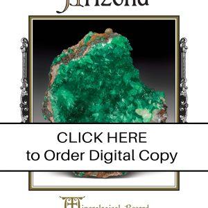 CLICK HERE TO ORDER DIGITAL COPY of Vol 46 no 4.2 - $20
