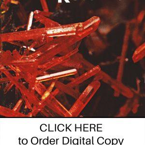 CLICK HERE TO ORDER DIGITAL COPY of Vol 3 no 3.2 - $9