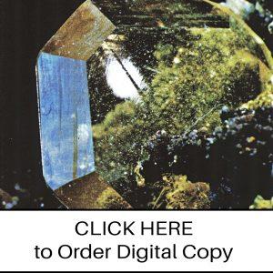 CLICK HERE TO ORDER DIGITAL COPY of Vol 3 no 4.2 - $9