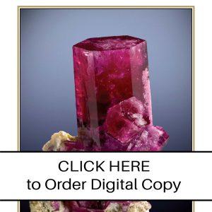 CLICK HERE TO ORDER DIGITAL COPY of Vol 41 no 6.2 - $15