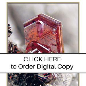 CLICK HERE TO ORDER DIGITAL COPY of Vol 42 no 2.2 - $15