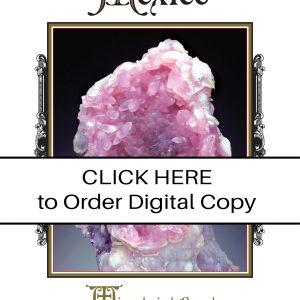 CLICK HERE TO ORDER DIGITAL COPY of Vol 42 no 5.2 - $20