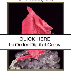 CLICK HERE TO ORDER DIGITAL COPY of Vol 42 no 6.2 - $15