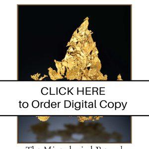 CLICK HERE TO ORDER DIGITAL COPY of Vol 55 No. 3.2 - $30