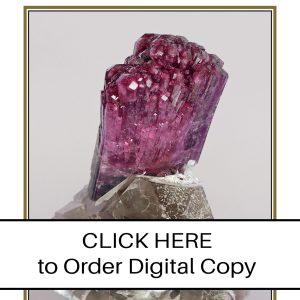 CLICK HERE TO ORDER DIGITAL COPY of Vol 38 no 6.2 - $15