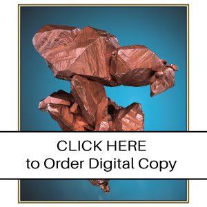 CLICK HERE TO ORDER DIGITAL COPY of Vol 39 no 3.2 - $15