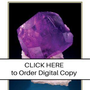 CLICK HERE TO ORDER DIGITAL COPY of Vol 39 no 4.2 - $15