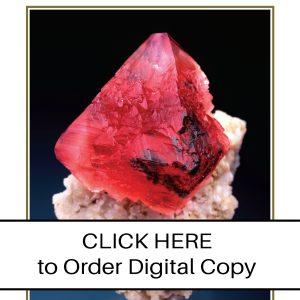 CLICK HERE TO ORDER DIGITAL COPY of Vol 39 no 5.2 - $15