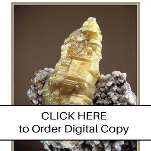 CLICK HERE TO ORDER DIGITAL COPY of Vol 37 no 1.2 - $15