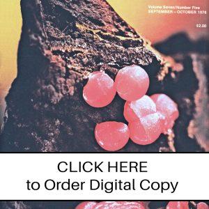 CLICK HERE TO ORDER DIGITAL COPY of Vol 7 no 5.2 - $9