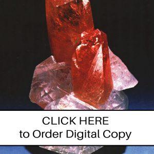 CLICK HERE TO ORDER DIGITAL COPY of Vol 8 no 5.2 - $12