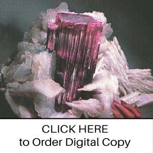 CLICK HERE TO ORDER DIGITAL COPY of Vol 12 no 2.2 - $15