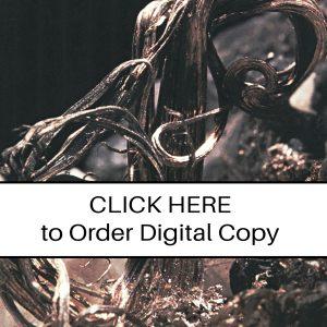 CLICK HERE TO ORDER DIGITAL COPY of Vol 12 no 4.2 - $15