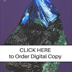 CLICK HERE TO ORDER DIGITAL COPY of Vol 30 No. 3.2 - $12