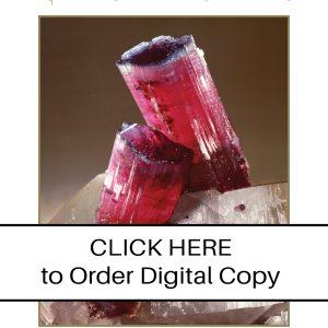 CLICK HERE TO ORDER DIGITAL COPY of Vol 33 no 5.2 - $15