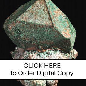 CLICK HERE TO ORDER DIGITAL COPY of Vol 15 no. 5 - $12