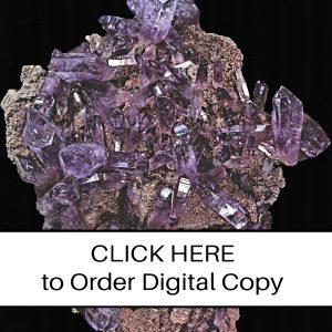 CLICK HERE TO ORDER DIGITAL COPY of Vol 15 no. 2 - $15