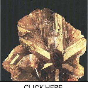 CLICK HERE TO ORDER DIGITAL COPY of Vol 14 no. 4.2- $12