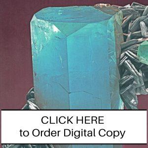 CLICK HERE TO ORDER DIGITAL COPY of Vol 21 no 3.2 - $12