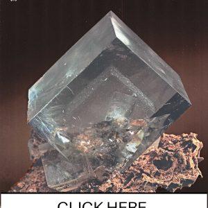 CLICK HERE TO ORDER DIGITAL COPY of Vol 25 no 2.2 - $15