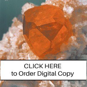 CLICK HERE TO ORDER DIGITAL COPY of Vol 25 no 4.2 - $12