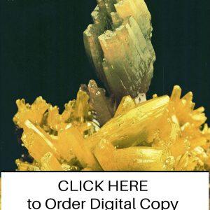 CLICK HERE TO ORDER DIGITAL COPY of Vol 27 no 4.2 - $12